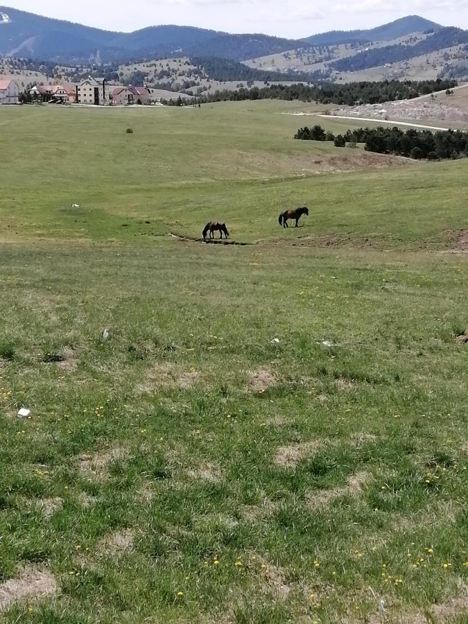 Apartman Selakovic Zlatibor Exterior foto